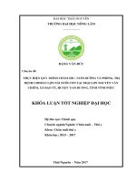 Thực hiện quy trình chăm sóc, nuôi dưỡng và phòng, trị bệnh đàn lợn nái nuôi con tại trại lợn Nguyễn Văn Chiêm, xã Đạo Tú  huyện Tam Dương  tỉnh Vĩnh Phúc