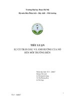 SỰ cố TRÀN dầu và ẢNH HƯỞNG của nó đến môi TRƯỜNG BIỂN 