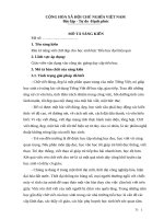 sáng kiến rèn kĩ năng viết chữ đẹp cho học sinh bậc tiểu học đạt hiệu quả 