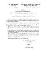 13 To trinh sua doi Dieu le Vinatex 2017