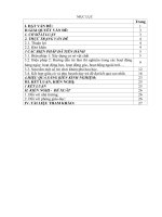 SKKN tạo hứng thú cho trẻ mầm non khám phá khoa học qua các thí nghiệm   phạm thị hồng 