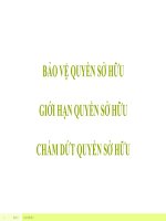 Quyền sở hữu về tài sản -Bảo vệ, giới hạn, chấm dứt quyền sở hữu tài sản