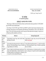 to trinh thay doi dieu le Cty 10.04.13