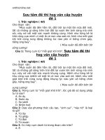 de thi hsg ngu van cap huyen khoi 9 48065