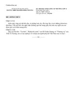 de thi hsg cap truong mon ngu van 11 thpt nguyen cong phuong 47872