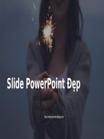 Slide PowerPoint Dep So 41 - phamlocblog
