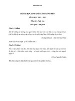 de thi hsg cap thanh pho hcm mon ngu van 12 56649