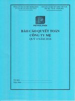 BCTC Công ty Mẹ Quý 4 năm 2016
