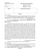 de thi hsg ngu van 8 chon loc 94876