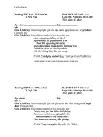 bai viet so 7 ngu van 10 nang cao 92582