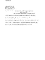 de kiem tra chat luong hkii sinh hoc 6 hay 17109