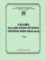 Tai lieu chinh thuc DHCD nam 2013