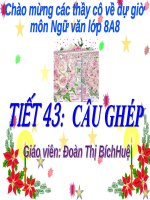Văn 8 câu ghép 