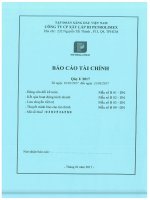 BCTC Q1 2017 TOAN CONG TY signed