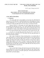 Bao cao hoat dong SXKD 2012 va Ke hoach SXKD 2013 1372238214