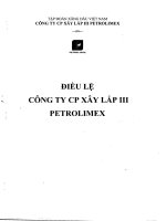 DIEU LE CONG TY CP XAY LAP III PETROLIMEX