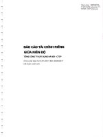 Báo cáo Tài chính bán niên năm 2017 Công ty mẹ Hancorp(1)