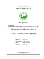 Tình hình mắc bệnh viêm tử cung ở đàn lợn nái tại trại lợn nguyễn xuân dũng xã khánh thượng   huyện ba vì   thành phố hà nội và sử dụng một số phác đồ điều trị 