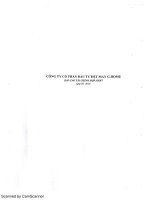 BCTC HỢP NHẤT Q3 G20