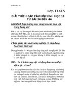 giai thich mot so hien tuong sinh hoc 11 co ban 4343