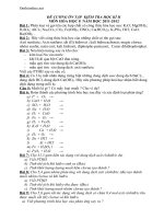 de cuong on tap hkii hoa hoc 8 hay 88304