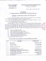 Tờ trình thông qua báo cáo tài chính năm 2016