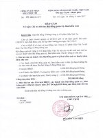 Báo cáo chi trả thù lao HĐQT