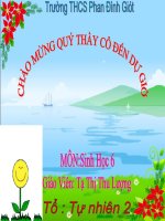 Sinh 6   bai 46 thuc vat gop phan dieu hoa khi hau (1) 