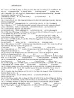 bai tap ve este cuc hay 22702