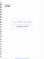 BCTC CTy Mẹ năm 2016 đã kiểm toán