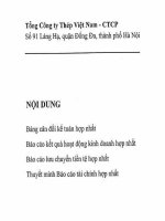 VNSTEEL BCTC hop nhat Q2.2015