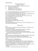 mot so de thi hsg ngu van 8 56331