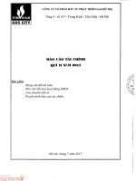 Báo cáo tài chính quý II năm 2017(1)