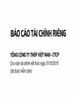 24 BCTC Cty me 2015 kiem toan VNSTEEL