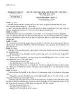 de thi hsg cap tinh mon hoa hoc tinh nghe an 76032