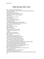 noi dung on tap ngu van lop 10 ki 1 41912