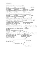 de kiem tra 15 phut sinh hoc 8 21538