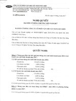 nghi quyết đại hội cổ đông 2017