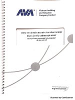 2 BCTC HOP NHAT BAN NIEN 2017