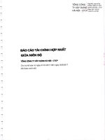 Báo cáo Tài chính bán niên Hợp nhất Hancorp