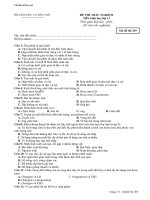 de kiem tra 1 tiet thi trac nghiem sinh 11 58125