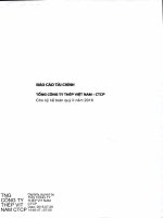 VNSTEEL BCTC Rieng Quy 2 2016