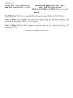 de kiem tra hoc ki 1 2011 2012 mon van lop 12 thpt trung vuong 73066