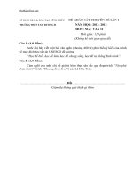 de khao sat chuyen de lan 1 van 11 thpt tam duong 99086