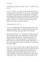 bai viet so 2 ngu van 8 76731