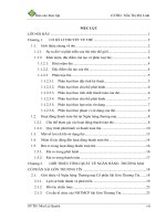Thực trạng và giải pháp nhằm phát triển khách hàng sử dụng thẻ thanh toán sacombank plus của ngân hàng TMCP sài gòn thương tín
