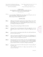 NGHI QUYET ĐHĐCĐ THUONG NIEN 2011