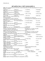 de kiem tra 1 tiet sinh hoc 11 co ban 79406