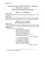 de thi dh cd lan 1 mon ngu van 2012 2013 49467