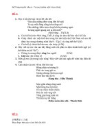 de thi van 9 hocki 2 91805